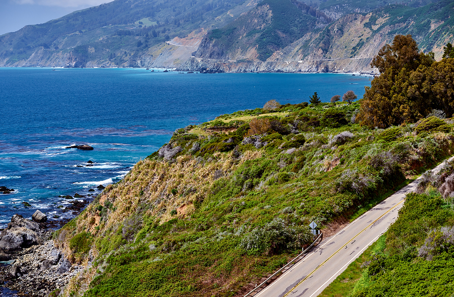 A beautiful drive up the Pacific Coast Highway to Gualala.